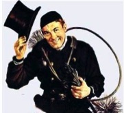 Burlington Top Hat Chimney Sweep MA